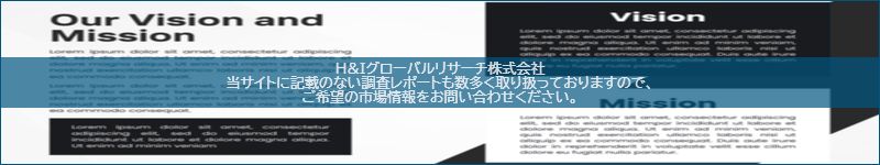 市場調査レポートのイメージ