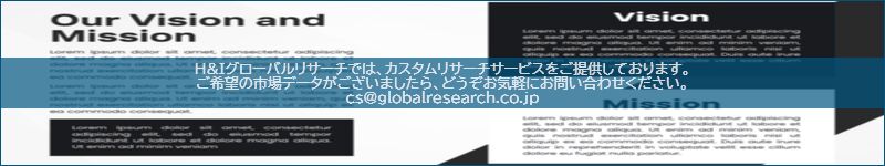 市場調査レポートのイメージ