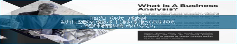 市場調査レポートのイメージ