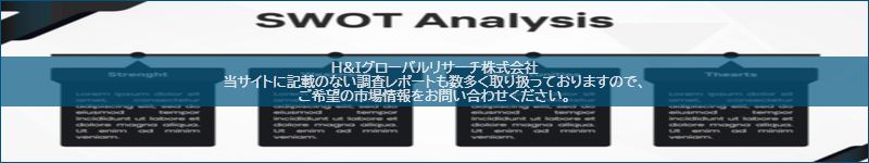市場調査レポートのイメージ