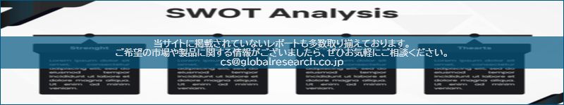 市場調査レポートのイメージ
