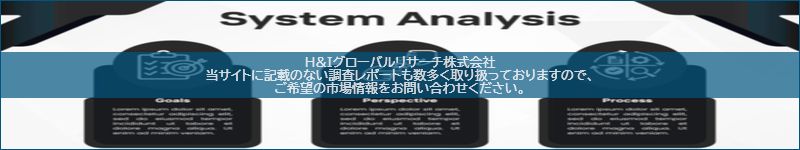市場調査レポートのイメージ