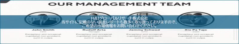 市場調査レポートのイメージ