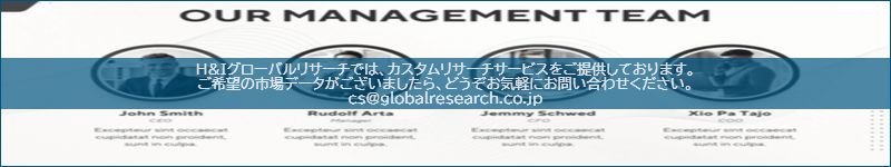 市場調査レポートのイメージ