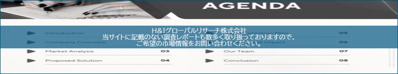 市場調査レポートのイメージ