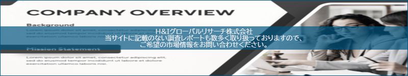 市場調査レポートのイメージ