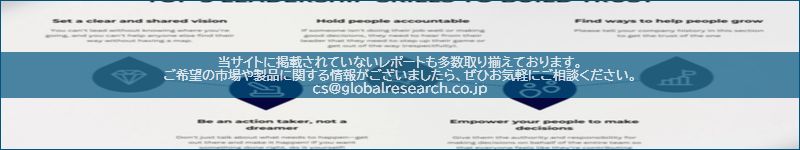 市場調査レポートのイメージ