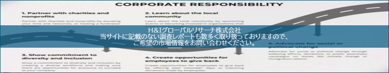 市場調査レポートのイメージ