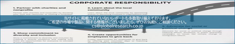 市場調査レポートのイメージ