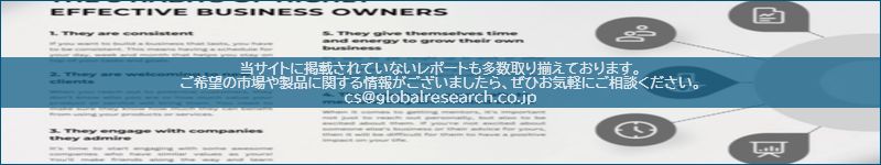 市場調査レポートのイメージ