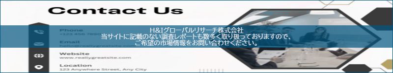 市場調査レポートのイメージ