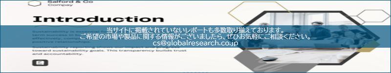 市場調査レポートのイメージ