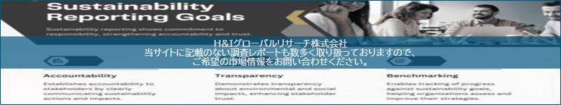 市場調査レポートのイメージ