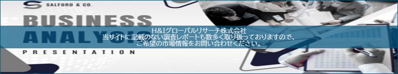 市場調査レポートのイメージ