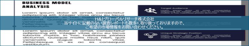 市場調査レポートのイメージ
