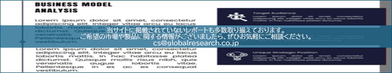 市場調査レポートのイメージ