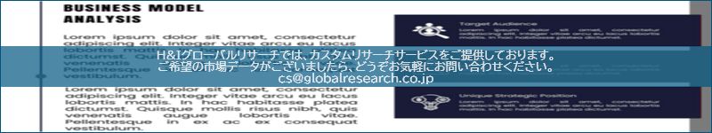 市場調査レポートのイメージ