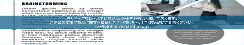市場調査レポートのイメージ