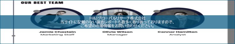 市場調査レポートのイメージ
