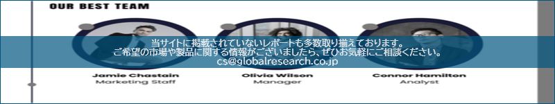 市場調査レポートのイメージ