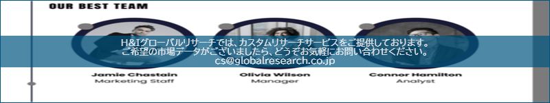 市場調査レポートのイメージ