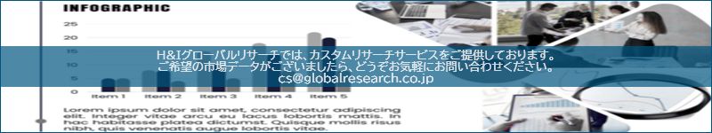 市場調査レポートのイメージ