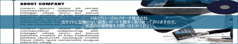 市場調査レポートのイメージ