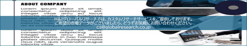市場調査レポートのイメージ