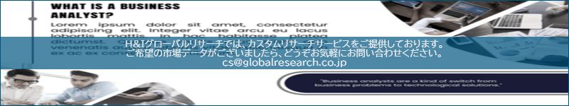 市場調査レポートのイメージ