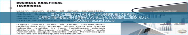 市場調査レポートのイメージ