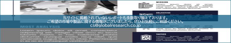 市場調査レポートのイメージ
