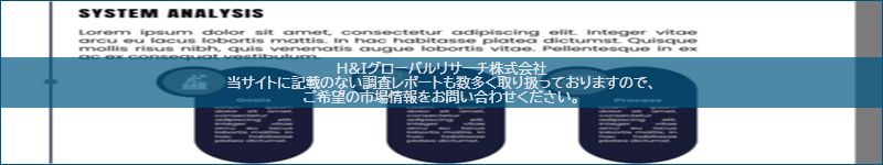 市場調査レポートのイメージ