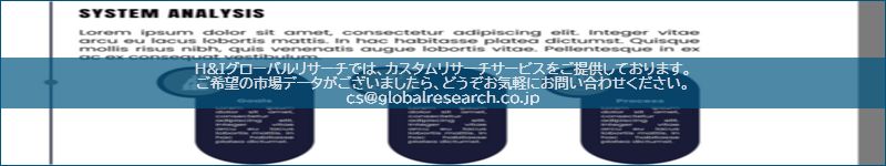市場調査レポートのイメージ