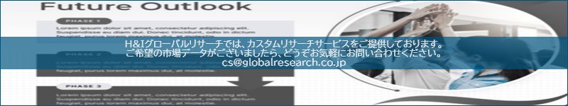市場調査レポートのイメージ