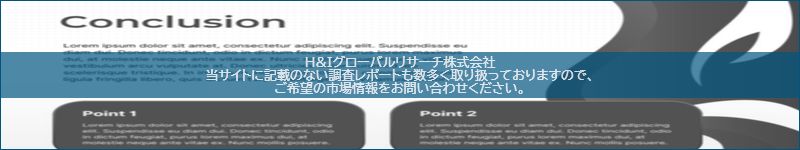 市場調査レポートのイメージ
