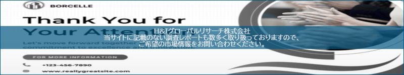 市場調査レポートのイメージ