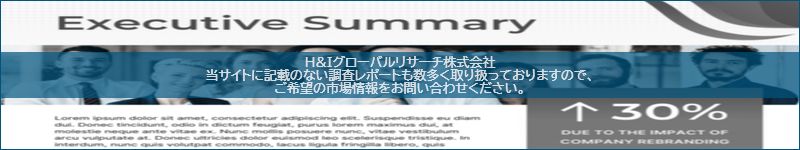 市場調査レポートのイメージ