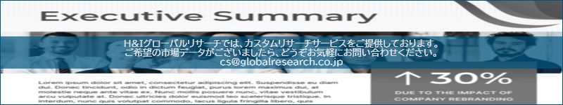 市場調査レポートのイメージ