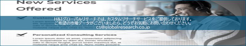 市場調査レポートのイメージ