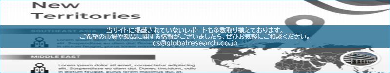 市場調査レポートのイメージ