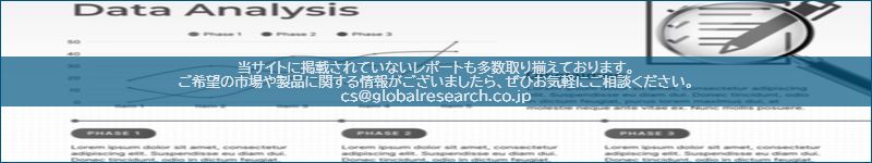 市場調査レポートのイメージ