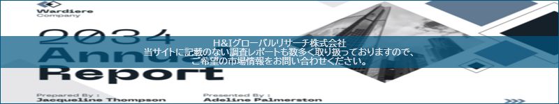 市場調査レポートのイメージ