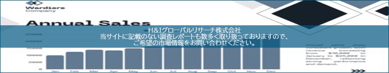 市場調査レポートのイメージ