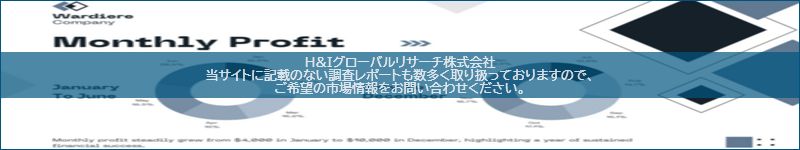 市場調査レポートのイメージ