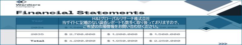 市場調査レポートのイメージ