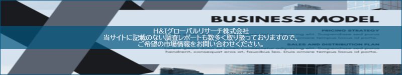 市場調査レポートのイメージ