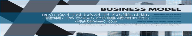 市場調査レポートのイメージ