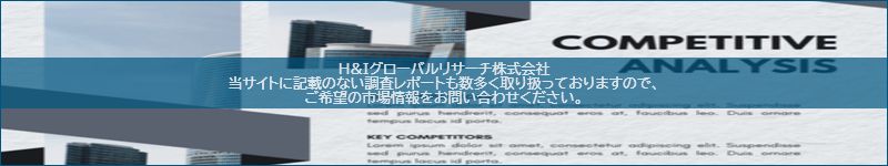 市場調査レポートのイメージ