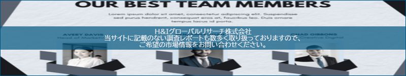 市場調査レポートのイメージ