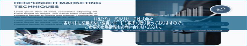 市場調査レポートのイメージ
